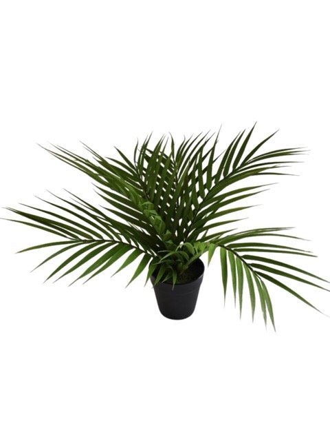 7275-iskusstvennaya-palma-35-cm-floraby